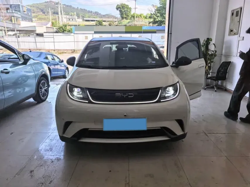 2024 BYD Dolphin BEV 44.928KWH,autocango,china used car exporter,china ev exporter,chinese used car exporter,chinese used ev exporter