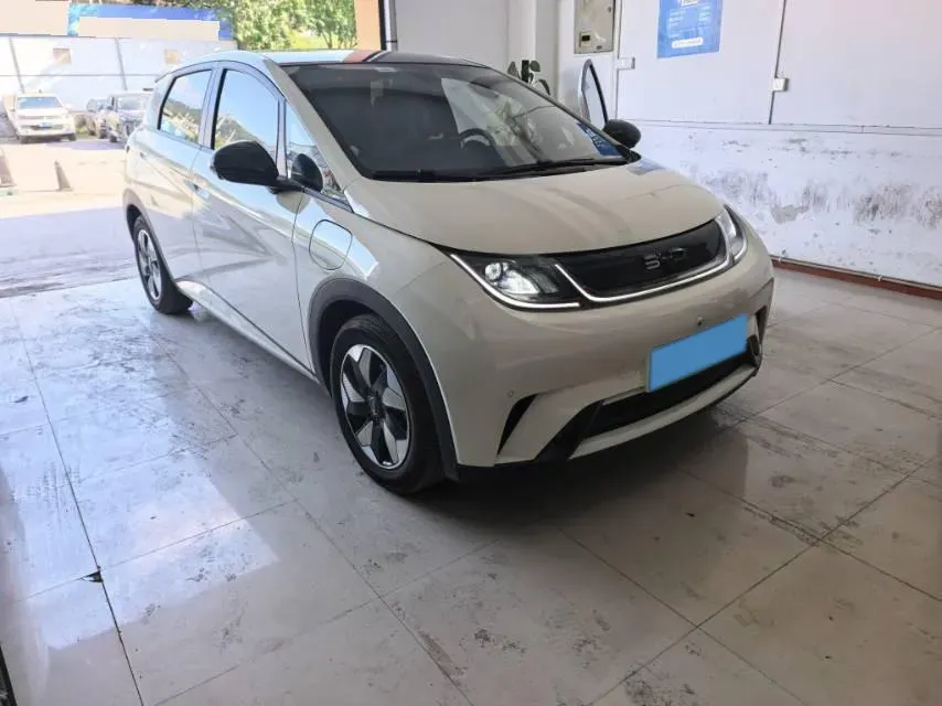 2024 BYD Dolphin BEV 44.928KWH,autocango,china used car exporter,china ev exporter,chinese used car exporter,chinese used ev exporter
