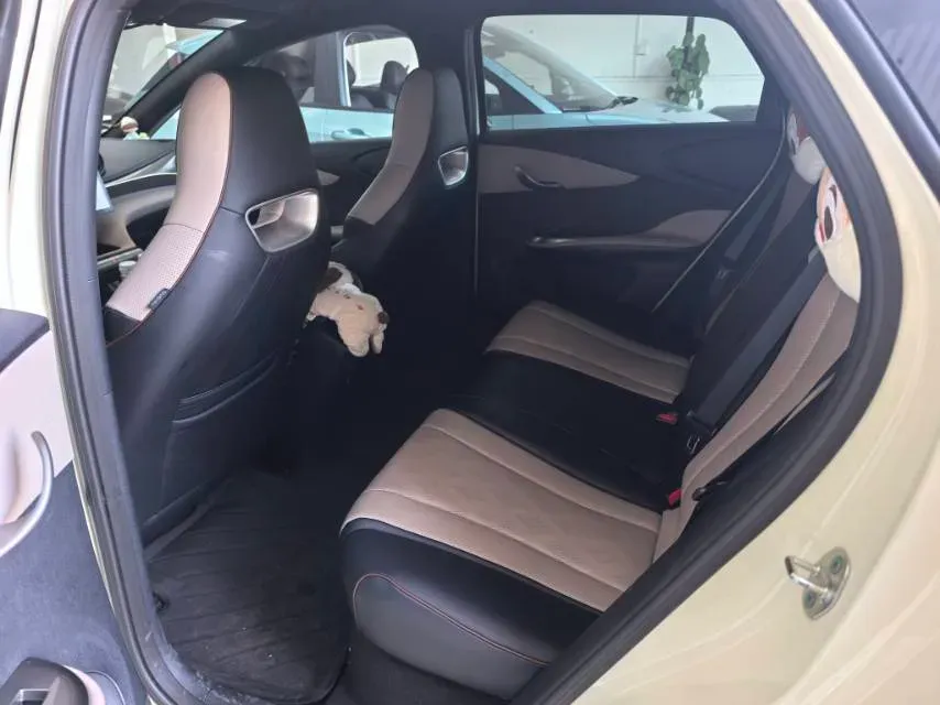 2024 BYD Dolphin BEV 44.928KWH,autocango,china used car exporter,china ev exporter,chinese used car exporter,chinese used ev exporter