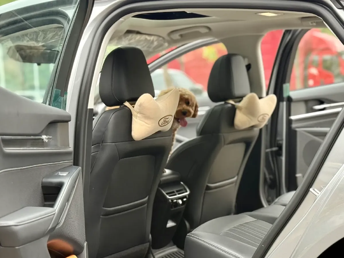 2025 Ford Mondeo 2.0T 254HP L4 8AT,autocango,china used car exporter,china ev exporter,chinese used car exporter,chinese used ev exporter