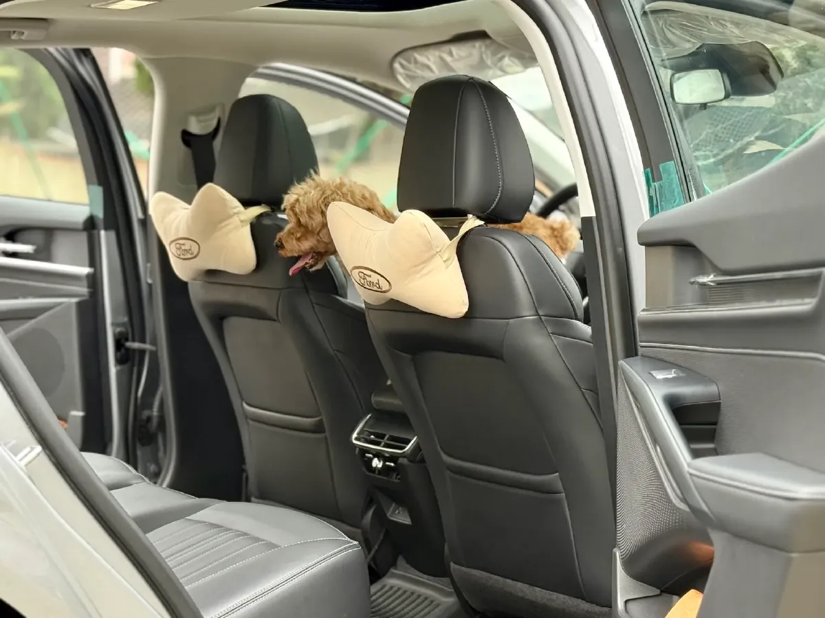 2025 Ford Mondeo 2.0T 254HP L4 8AT,autocango,china used car exporter,china ev exporter,chinese used car exporter,chinese used ev exporter