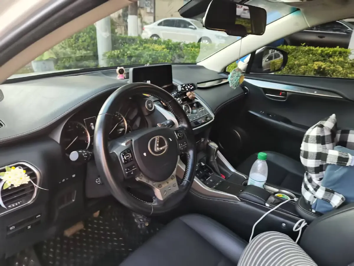 2018 Lexus NX 2.0T 238HP L4 6AT,autocango,china used car exporter,china ev exporter,chinese used car exporter,chinese used ev exporter