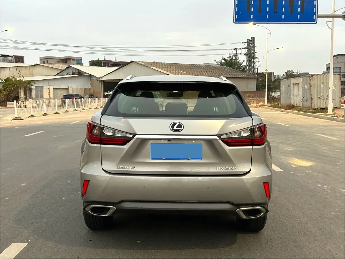 2016 Lexus RX 2.0T 231HP L4 6AT,autocango,china used car exporter,china ev exporter,chinese used car exporter,chinese used ev exporter