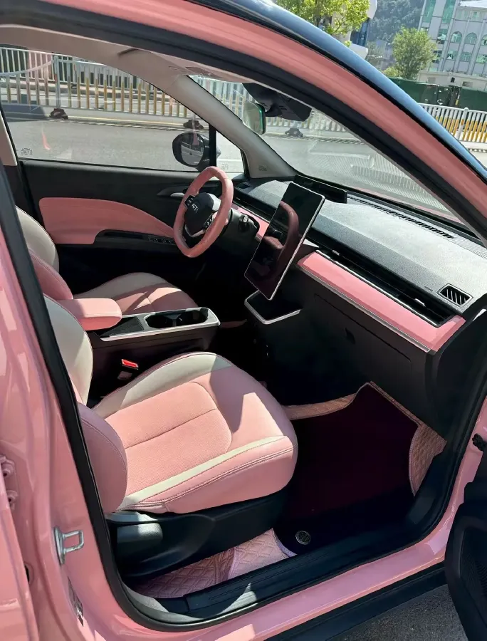 2021 Chery Little Ant BEV 30.6KWH,autocango,china used car exporter,china ev exporter,chinese used car exporter,chinese used ev exporter