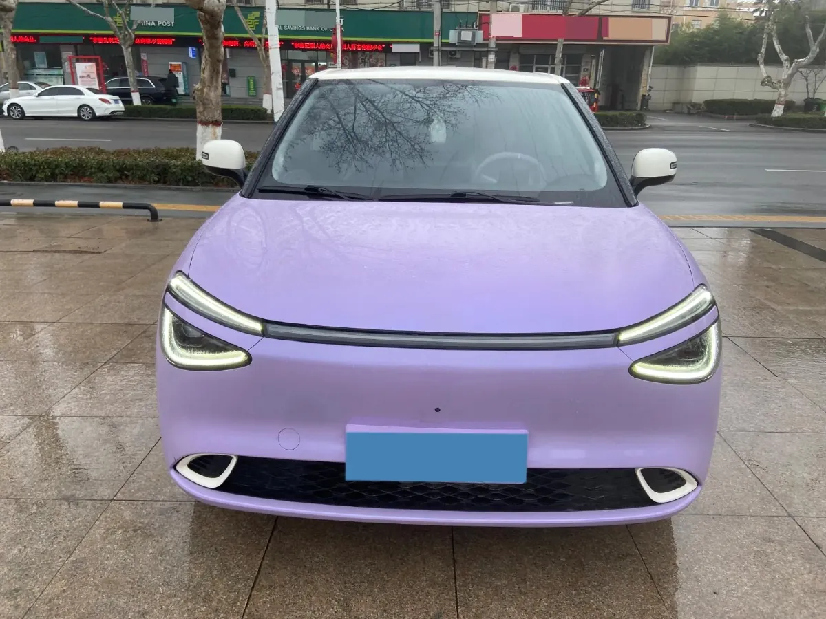 2024 DongFeng eπ 01 BEV 42.3KWH,autocango,china used car exporter,china ev exporter,chinese used car exporter,chinese used ev exporter