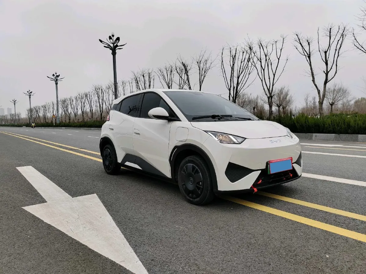 2025 BYD Seagull BEV 30.08KWH,autocango,china used car exporter,china ev exporter,chinese used car exporter,chinese used ev exporter