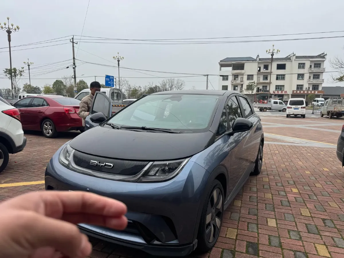 2023 BYD Dolphin BEV 44.928KWH,autocango,china used car exporter,china ev exporter,chinese used car exporter,chinese used ev exporter
