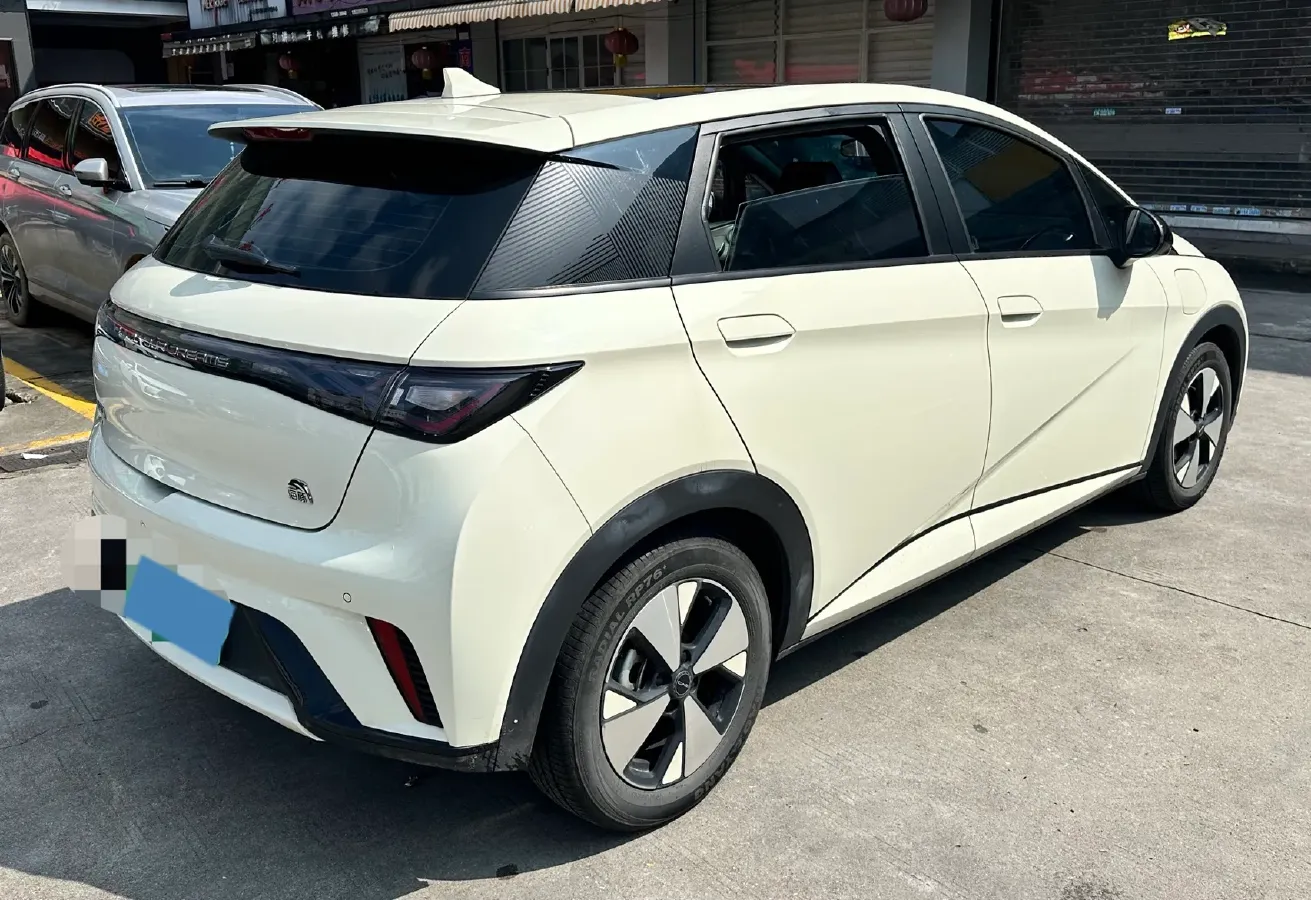 2023 BYD Dolphin BEV 44.928KWH,autocango,china used car exporter,china ev exporter,chinese used car exporter,chinese used ev exporter