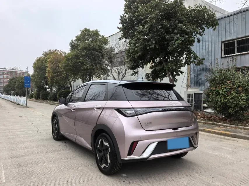 2021 BYD Yuan Pro BEV 50.1KWH,autocango,china used car exporter,china ev exporter,chinese used car exporter,chinese used ev exporter