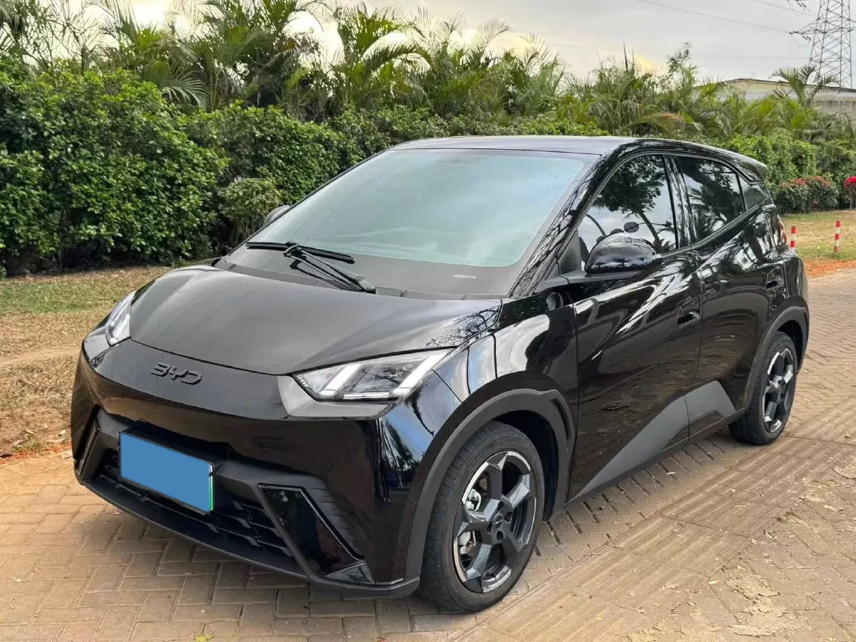 2024 BYD Seagull BEV 30.08KWH,autocango,china used car exporter,china ev exporter,chinese used car exporter,chinese used ev exporter