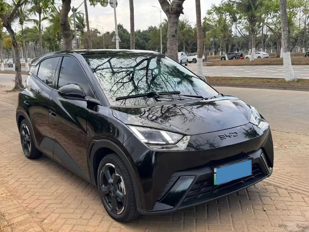 2024 BYD Seagull BEV 30.08KWH,autocango,china used car exporter,china ev exporter,chinese used car exporter,chinese used ev exporter