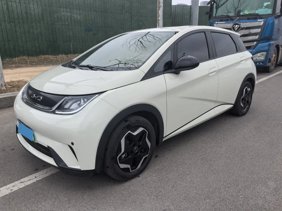 2025 BYD Dolphin BEV 44.928KWH,autocango,china used car exporter,china ev exporter,chinese used car exporter,chinese used ev exporter