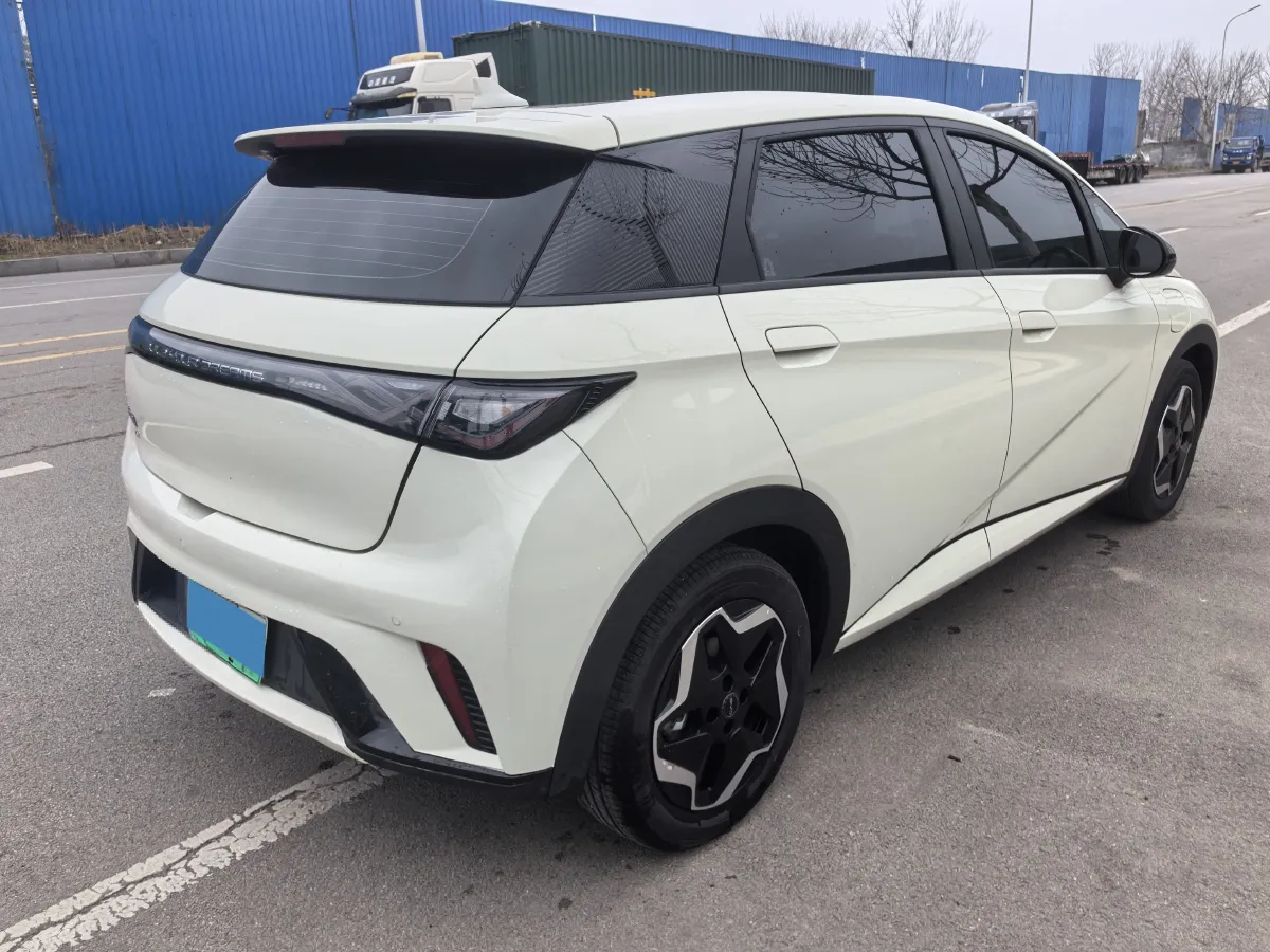 2025 BYD Dolphin BEV 44.928KWH,autocango,china used car exporter,china ev exporter,chinese used car exporter,chinese used ev exporter