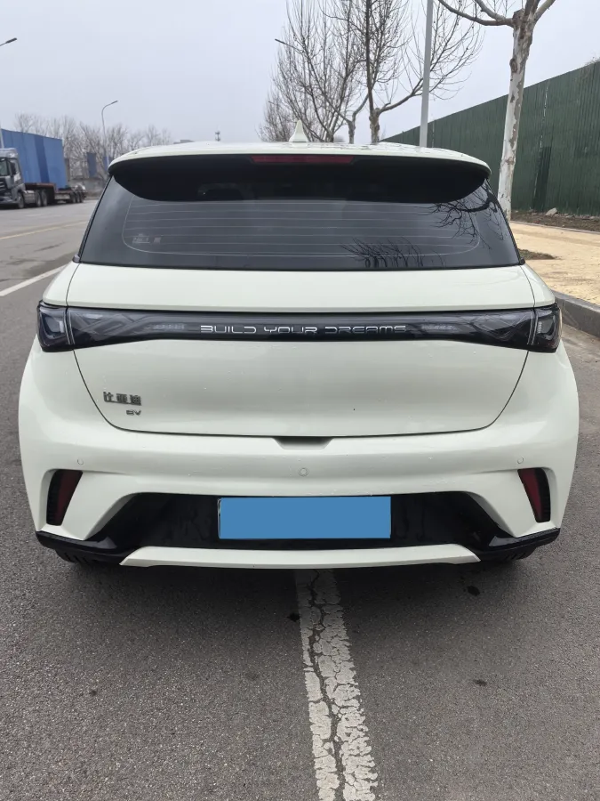 2025 BYD Dolphin BEV 44.928KWH,autocango,china used car exporter,china ev exporter,chinese used car exporter,chinese used ev exporter