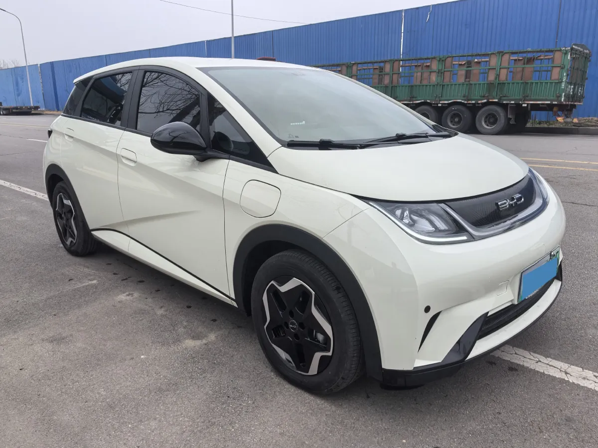 2025 BYD Dolphin BEV 44.928KWH,autocango,china used car exporter,china ev exporter,chinese used car exporter,chinese used ev exporter