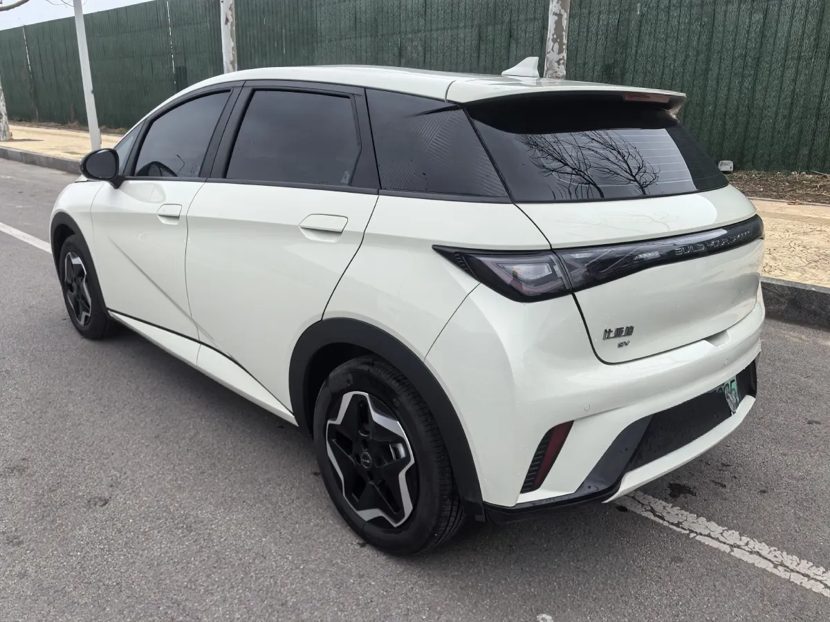 2025 BYD Dolphin BEV 44.928KWH,autocango,china used car exporter,china ev exporter,chinese used car exporter,chinese used ev exporter