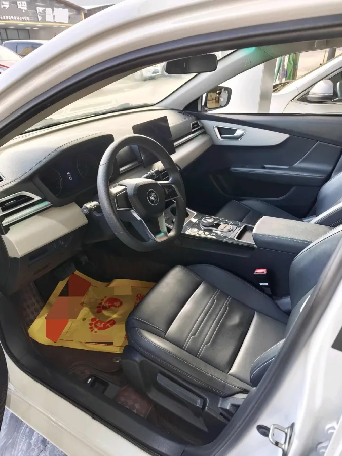 2021 BYD Qin BEV 47.53KWH,autocango,china used car exporter,china ev exporter,chinese used car exporter,chinese used ev exporter