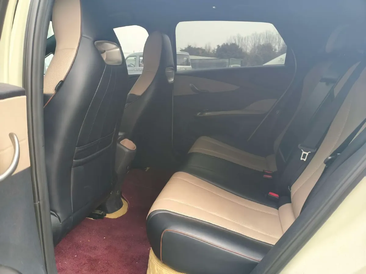 2024 BYD Dolphin BEV 44.928KWH,autocango,china used car exporter,china ev exporter,chinese used car exporter,chinese used ev exporter