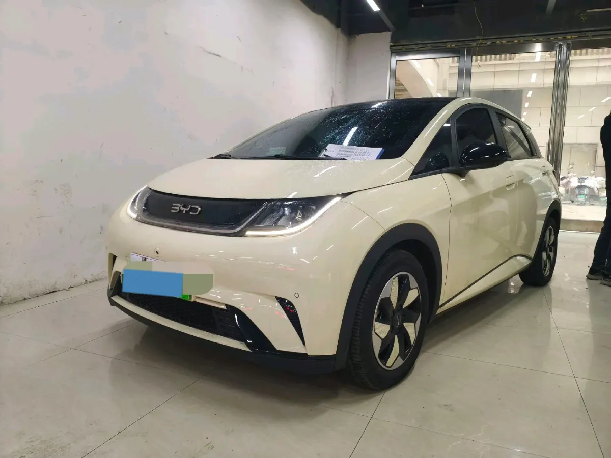 2024 BYD Dolphin BEV 44.928KWH,autocango,china used car exporter,china ev exporter,chinese used car exporter,chinese used ev exporter