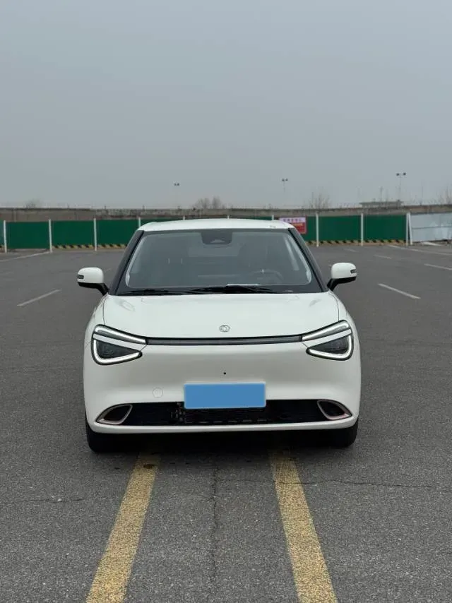 2024 DongFeng eπ 01 BEV 42.3KWH,autocango,china used car exporter,china ev exporter,chinese used car exporter,chinese used ev exporter