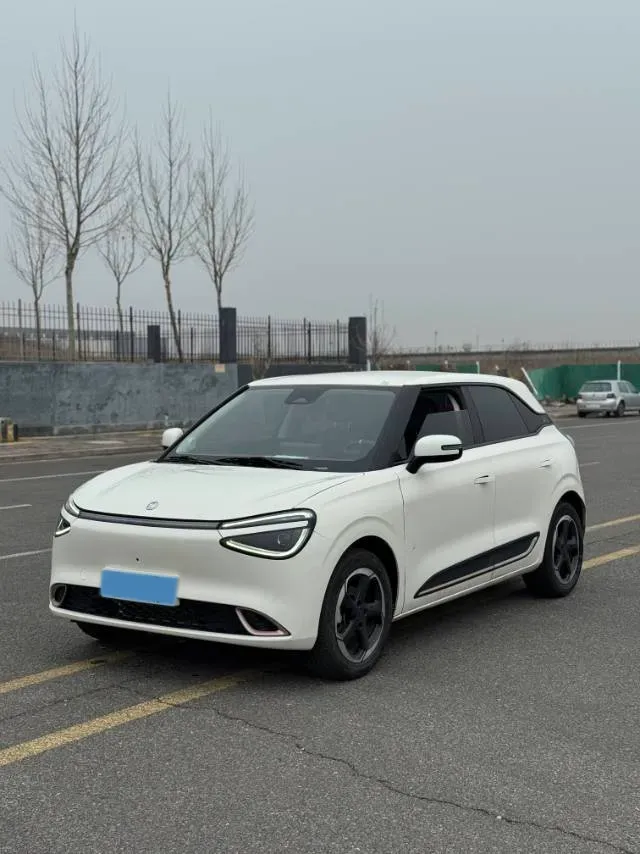 2024 DongFeng eπ 01 BEV 42.3KWH,autocango,china used car exporter,china ev exporter,chinese used car exporter,chinese used ev exporter