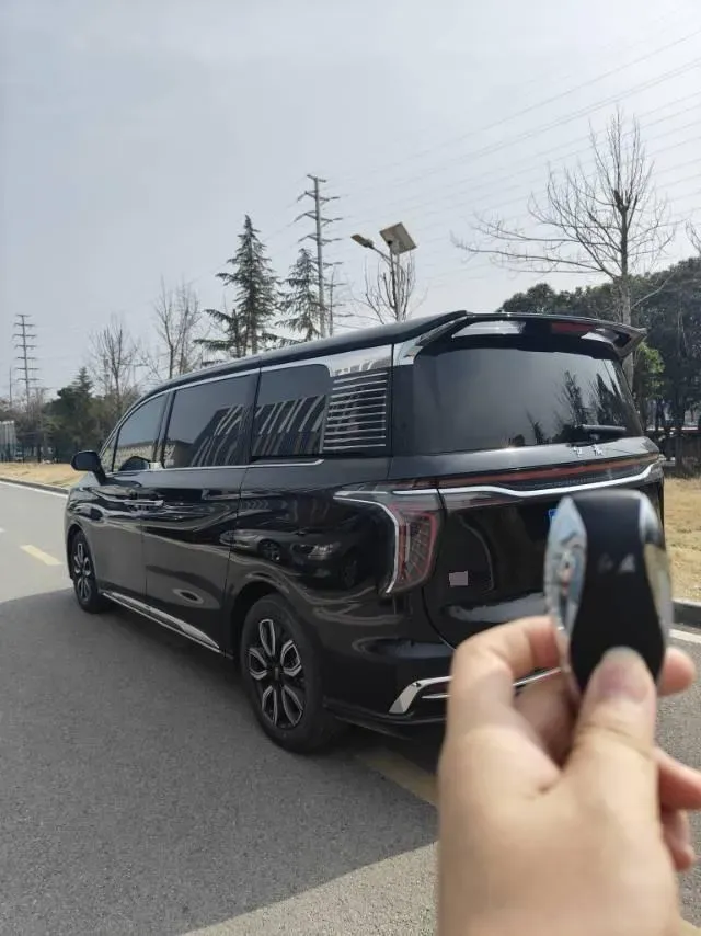 2023 HongQi HQ9 2.0T 252HP L4 8AT,autocango,china used car exporter,china ev exporter,chinese used car exporter,chinese used ev exporter