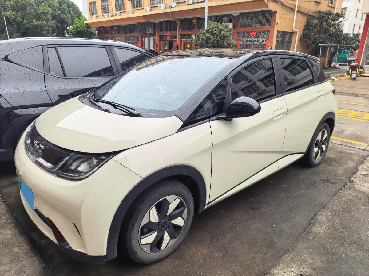 2025 BYD Dolphin BEV 44.928KWH,autocango,china used car exporter,china ev exporter,chinese used car exporter,chinese used ev exporter