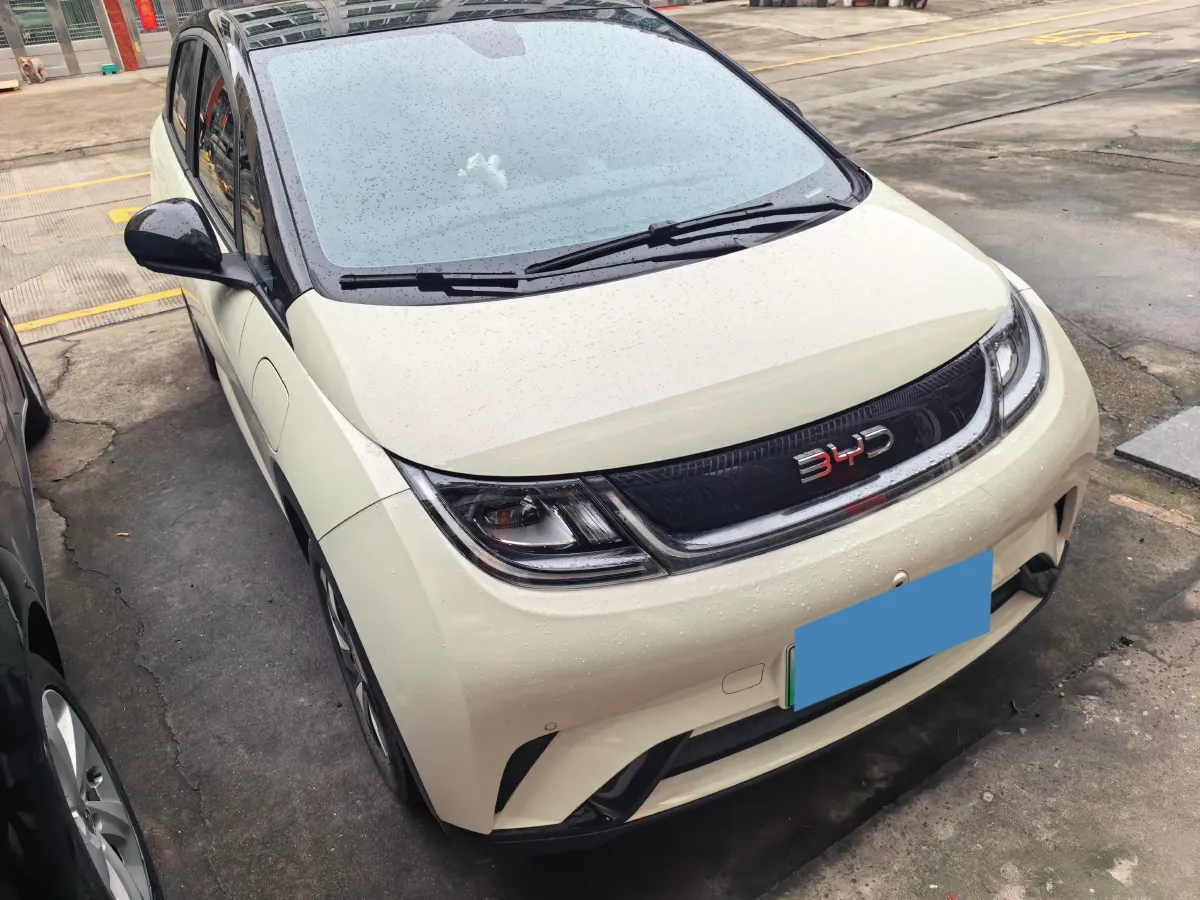 2025 BYD Dolphin BEV 44.928KWH,autocango,china used car exporter,china ev exporter,chinese used car exporter,chinese used ev exporter