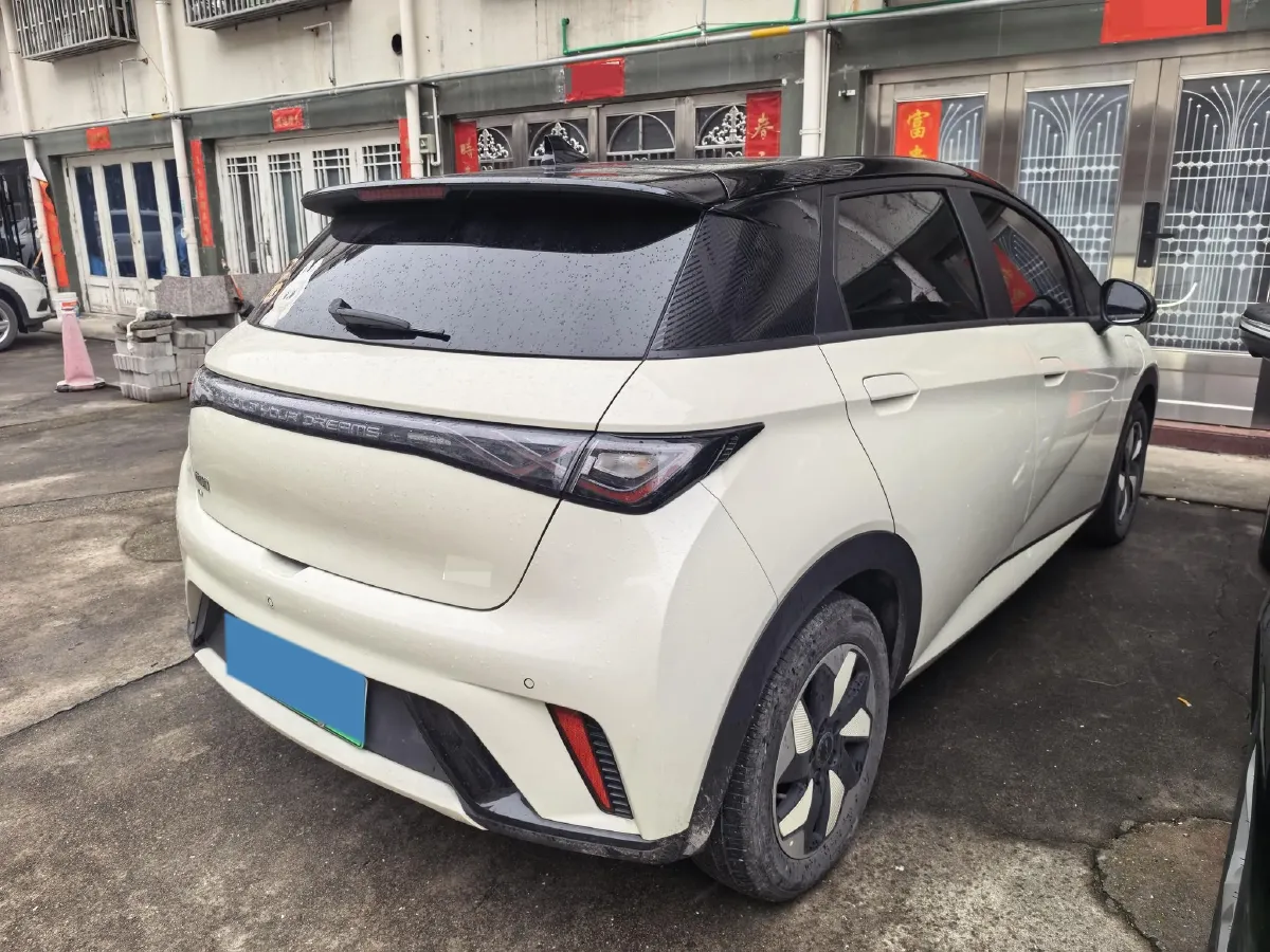 2025 BYD Dolphin BEV 44.928KWH,autocango,china used car exporter,china ev exporter,chinese used car exporter,chinese used ev exporter