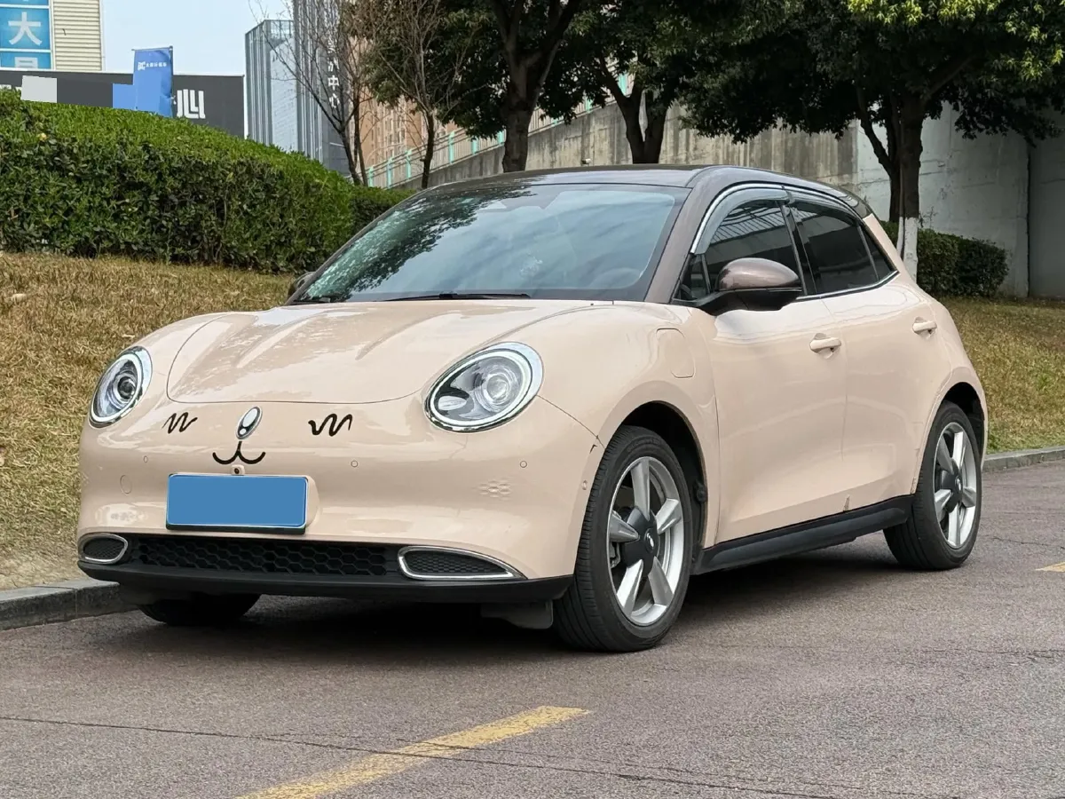 2021 Ora FunkyCat BEV 45.99KWH,autocango,china used car exporter,china ev exporter,chinese used car exporter,chinese used ev exporter