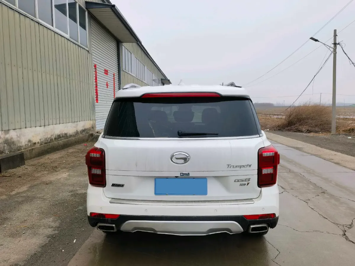 2017 GAC Trumpchi GS8 2.0T 201HP L4 6AT,autocango,china used car exporter,china ev exporter,chinese used car exporter,chinese used ev exporter