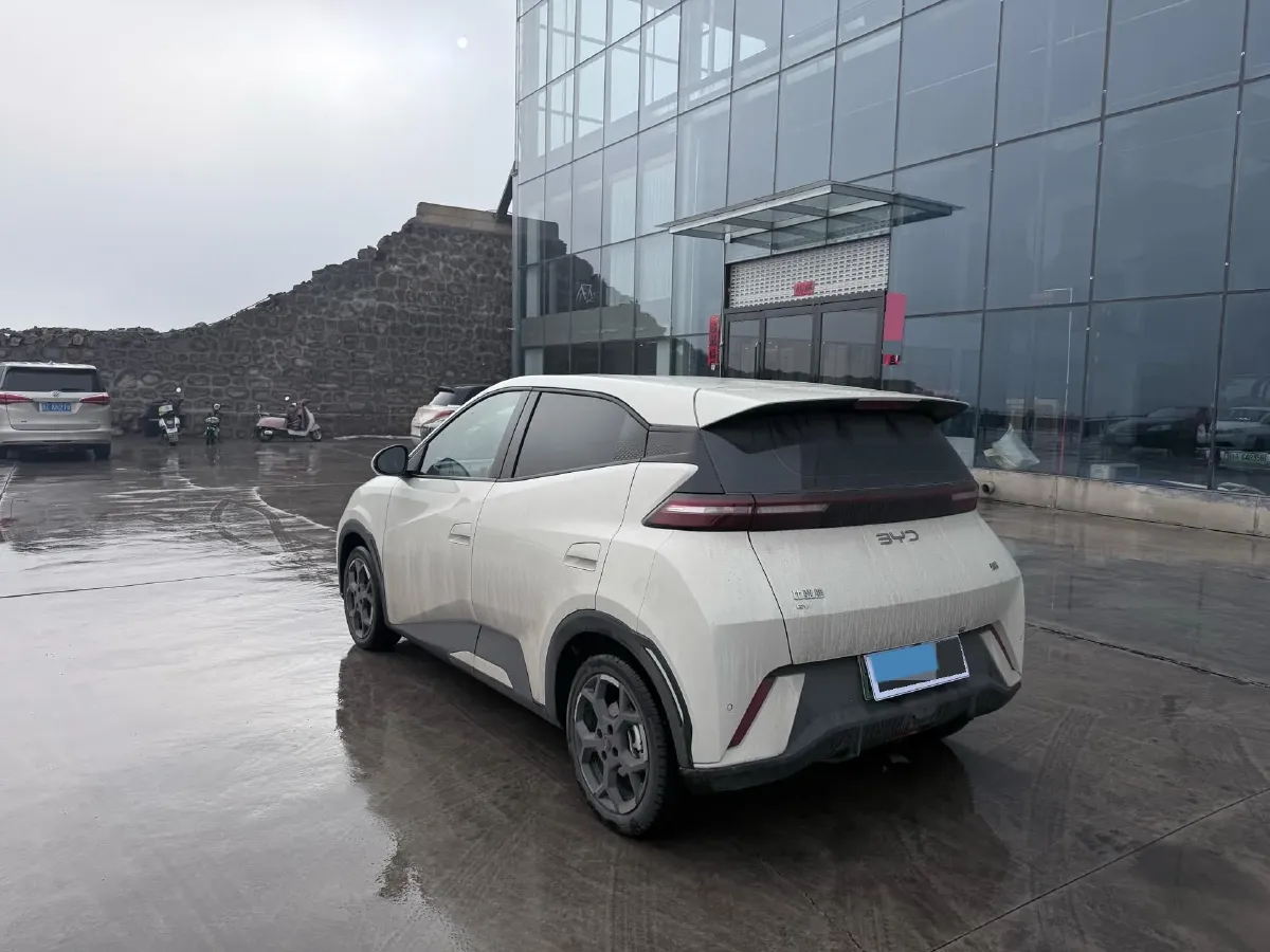 2024 BYD Seagull BEV 30.08KWH,autocango,china used car exporter,china ev exporter,chinese used car exporter,chinese used ev exporter