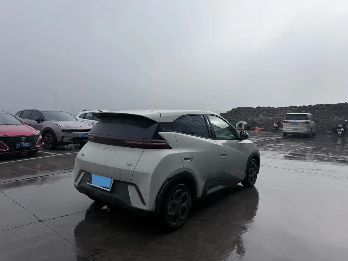 2024 BYD Seagull BEV 30.08KWH,autocango,china used car exporter,china ev exporter,chinese used car exporter,chinese used ev exporter