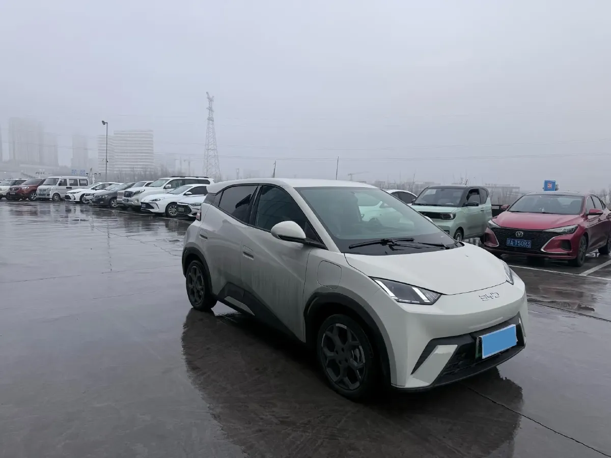 2024 BYD Seagull BEV 30.08KWH,autocango,china used car exporter,china ev exporter,chinese used car exporter,chinese used ev exporter