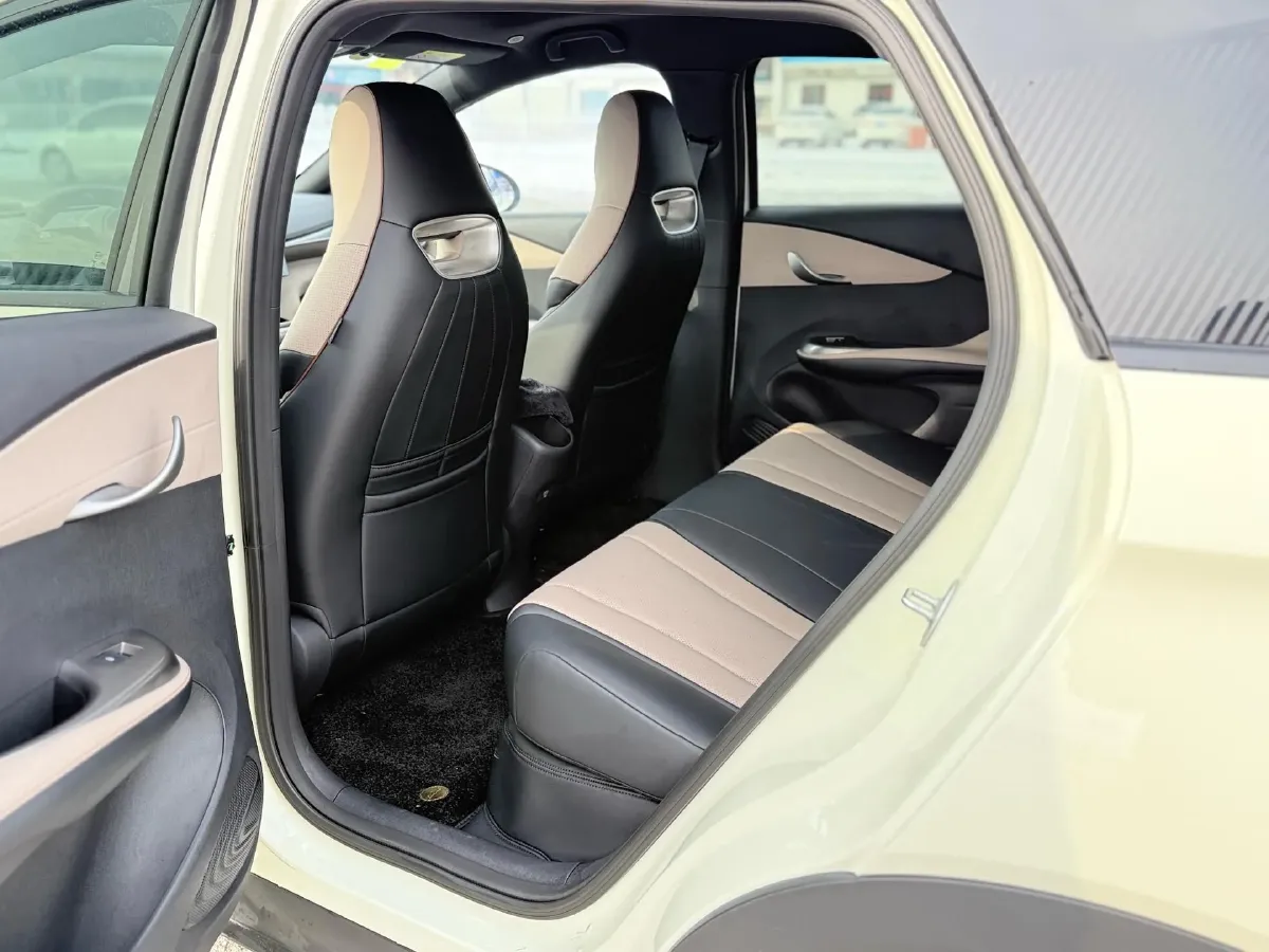 2025 BYD Dolphin BEV 44.928KWH,autocango,china used car exporter,china ev exporter,chinese used car exporter,chinese used ev exporter