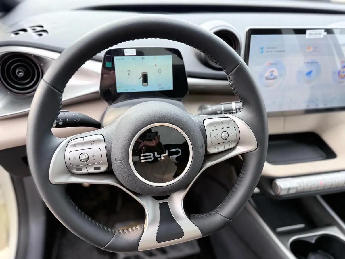 2025 BYD Dolphin BEV 44.928KWH,autocango,china used car exporter,china ev exporter,chinese used car exporter,chinese used ev exporter