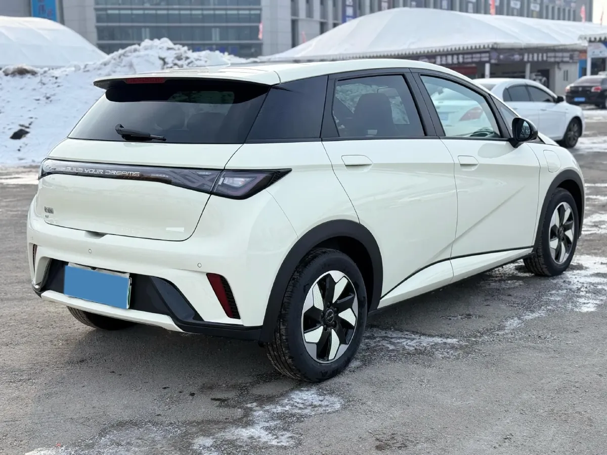 2025 BYD Dolphin BEV 44.928KWH,autocango,china used car exporter,china ev exporter,chinese used car exporter,chinese used ev exporter