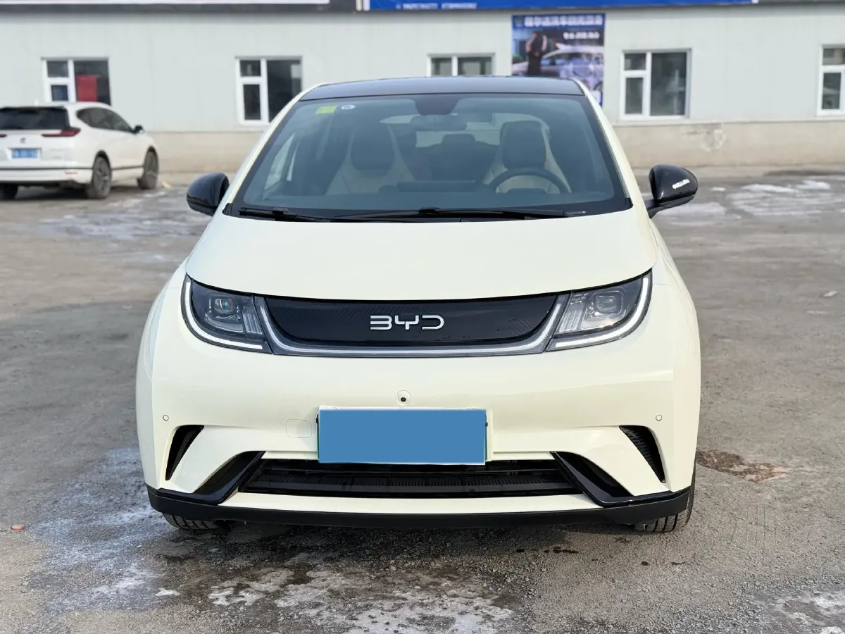 2025 BYD Dolphin BEV 44.928KWH,autocango,china used car exporter,china ev exporter,chinese used car exporter,chinese used ev exporter