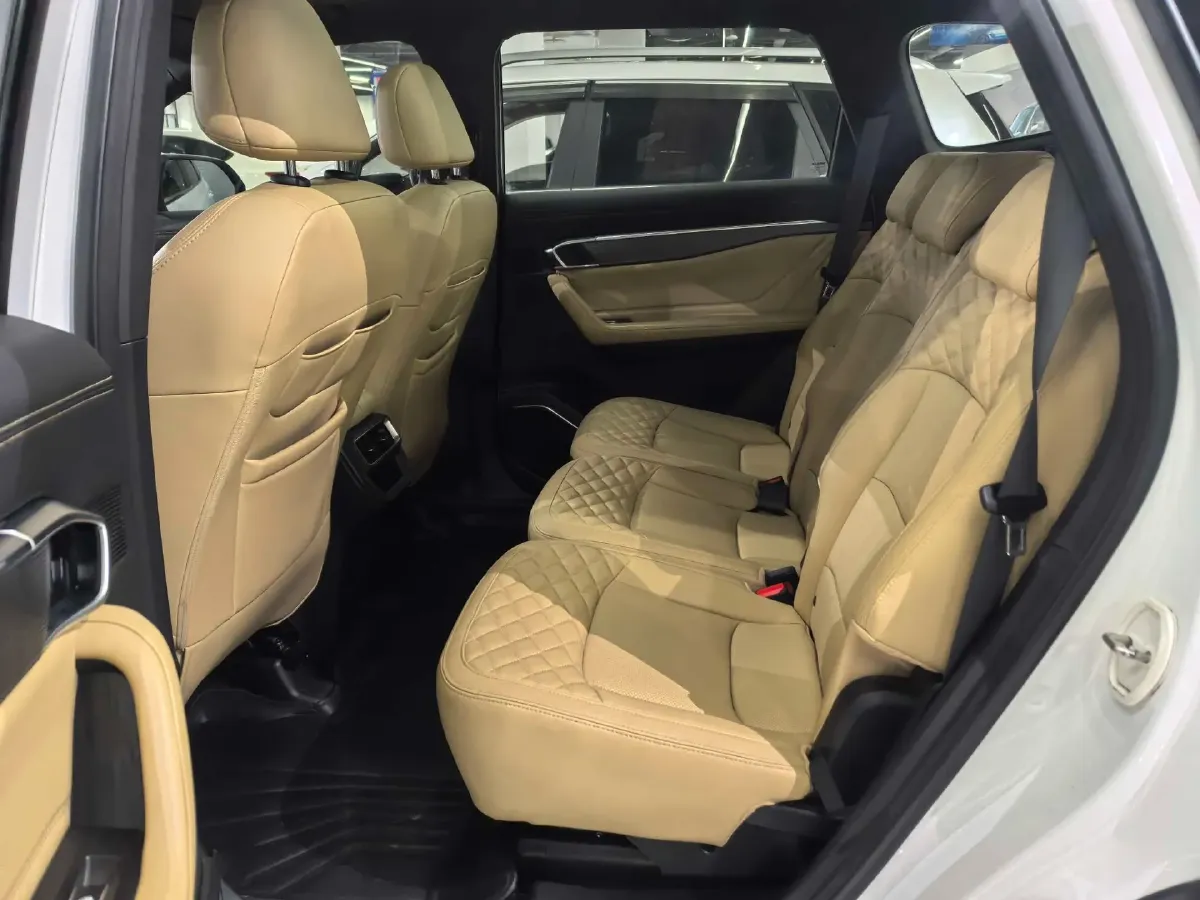 2023 Geely Okavango L 2.0T 218HP L4 7DCT,autocango,china used car exporter,china ev exporter,chinese used car exporter,chinese used ev exporter