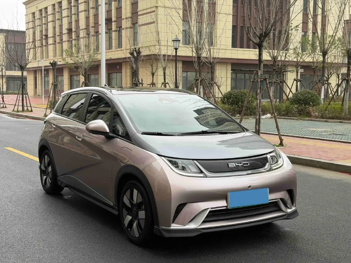 2021 BYD e2 BEV 43.2KWH,autocango,china used car exporter,china ev exporter,chinese used car exporter,chinese used ev exporter