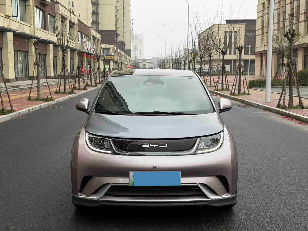 2021 BYD e2 BEV 43.2KWH,autocango,china used car exporter,china ev exporter,chinese used car exporter,chinese used ev exporter