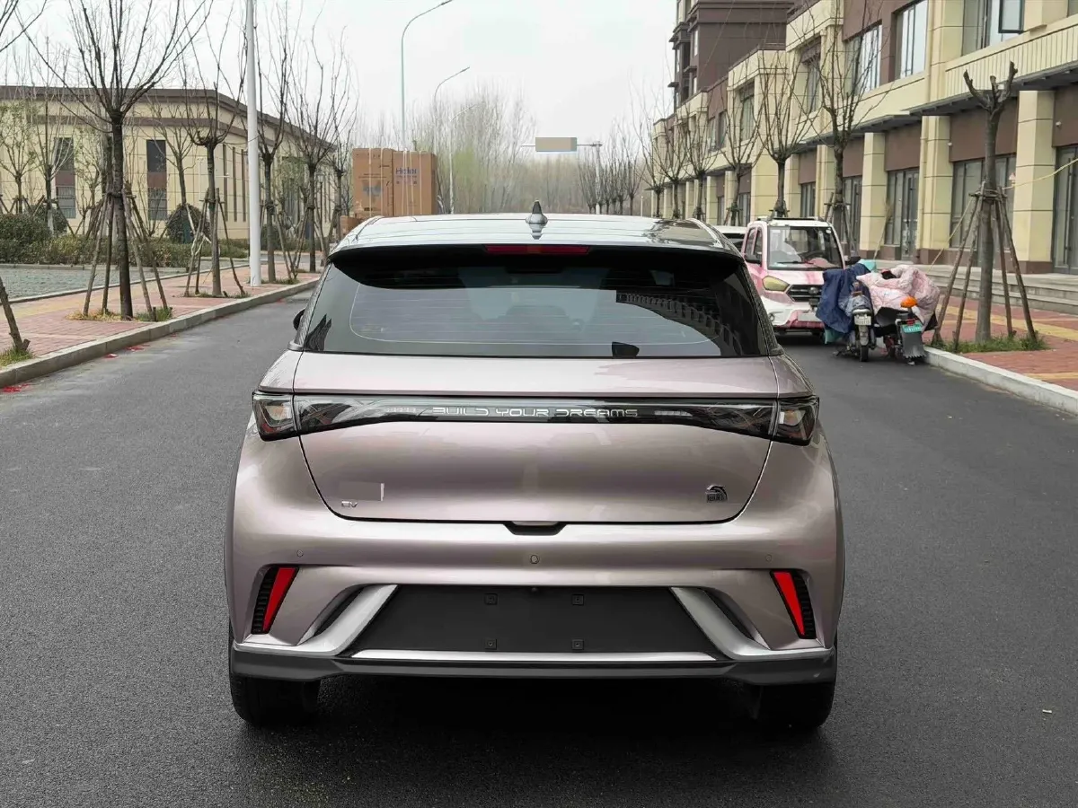 2021 BYD e2 BEV 43.2KWH,autocango,china used car exporter,china ev exporter,chinese used car exporter,chinese used ev exporter