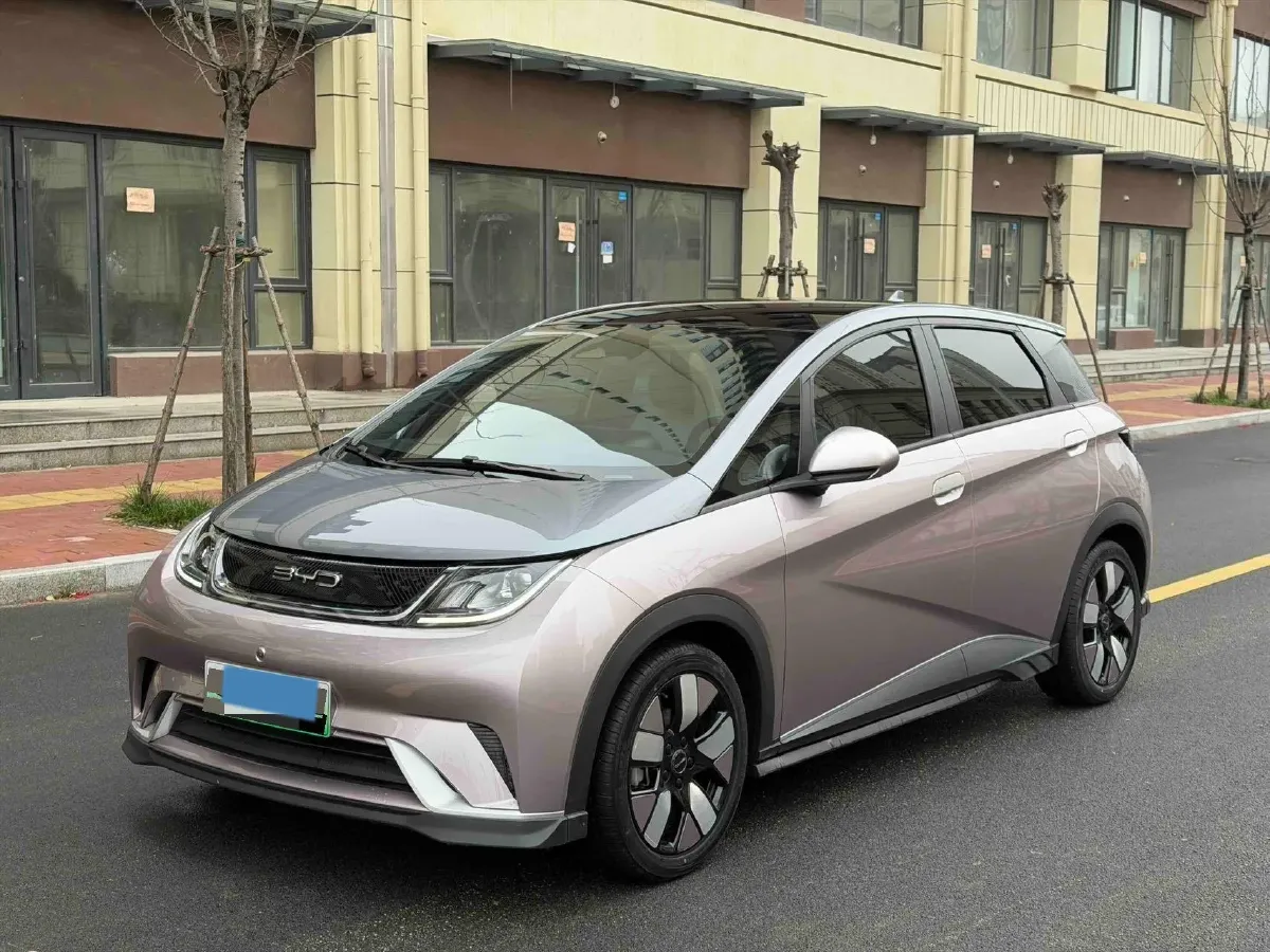 2021 BYD e2 BEV 43.2KWH,autocango,china used car exporter,china ev exporter,chinese used car exporter,chinese used ev exporter