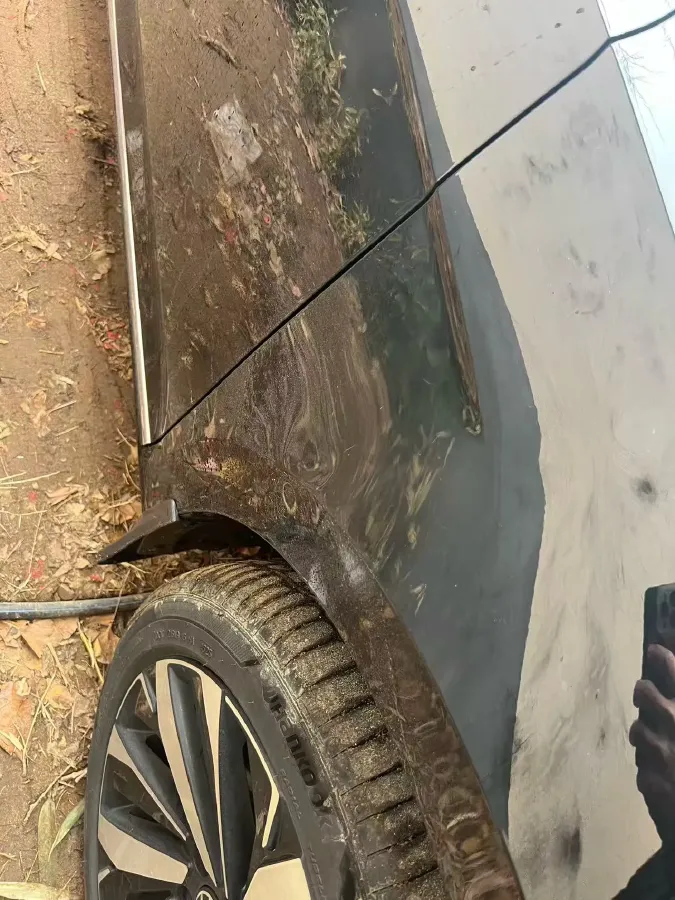 2025 Volkswagen Passat 2.0T 186HP L4 7DCT,autocango,china used car exporter,china ev exporter,chinese used car exporter,chinese used ev exporter