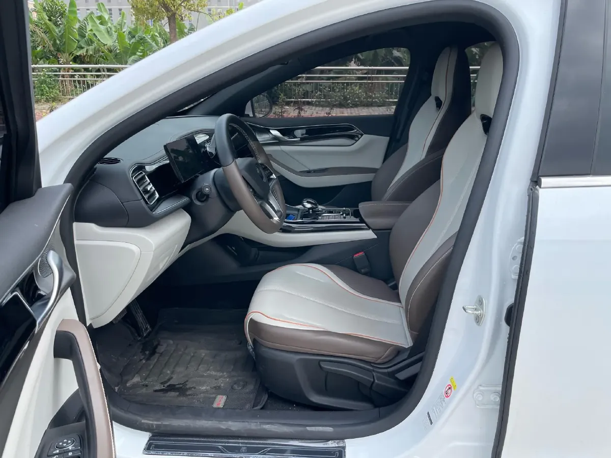 2024 BYD Qin Plus BEV 48KWH,autocango,china used car exporter,china ev exporter,chinese used car exporter,chinese used ev exporter