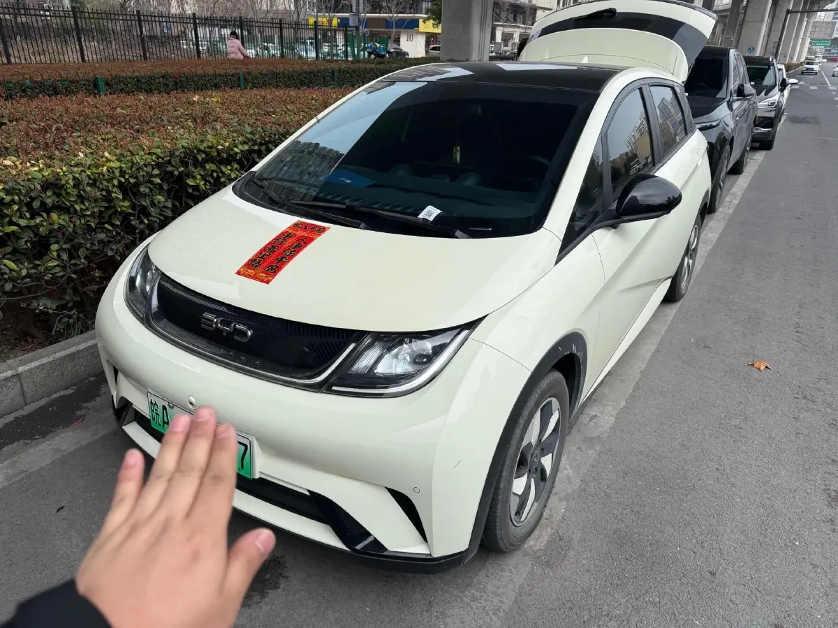 2024 BYD Dolphin BEV 44.928KWH,autocango,china used car exporter,china ev exporter,chinese used car exporter,chinese used ev exporter