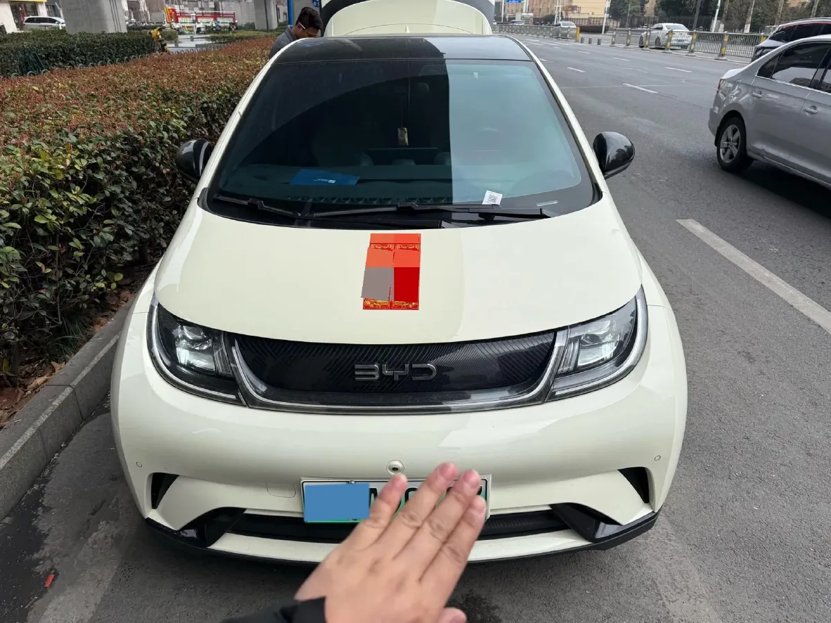 2024 BYD Dolphin BEV 44.928KWH,autocango,china used car exporter,china ev exporter,chinese used car exporter,chinese used ev exporter