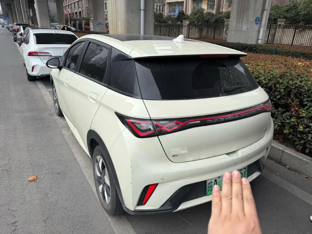 2024 BYD Dolphin BEV 44.928KWH,autocango,china used car exporter,china ev exporter,chinese used car exporter,chinese used ev exporter