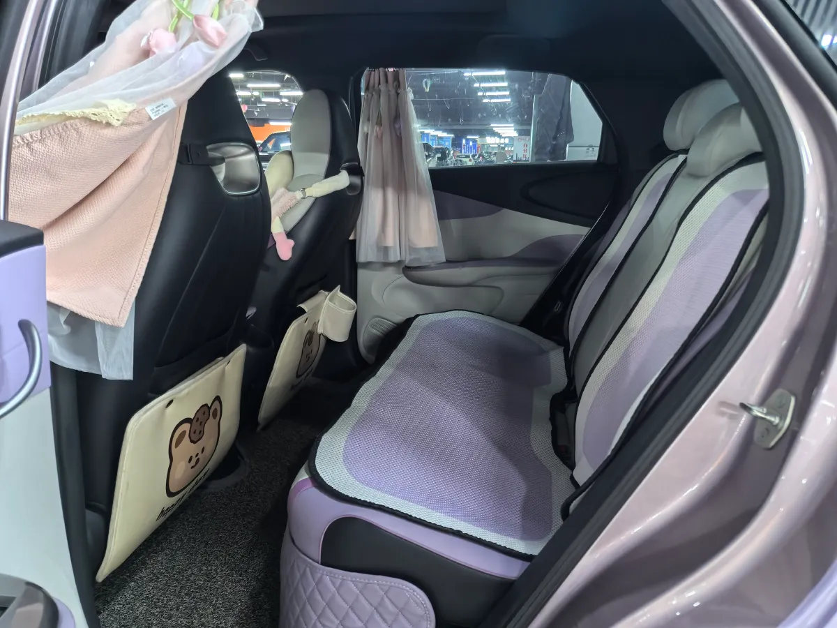 2021 BYD e2 BEV 43.2KWH,autocango,china used car exporter,china ev exporter,chinese used car exporter,chinese used ev exporter