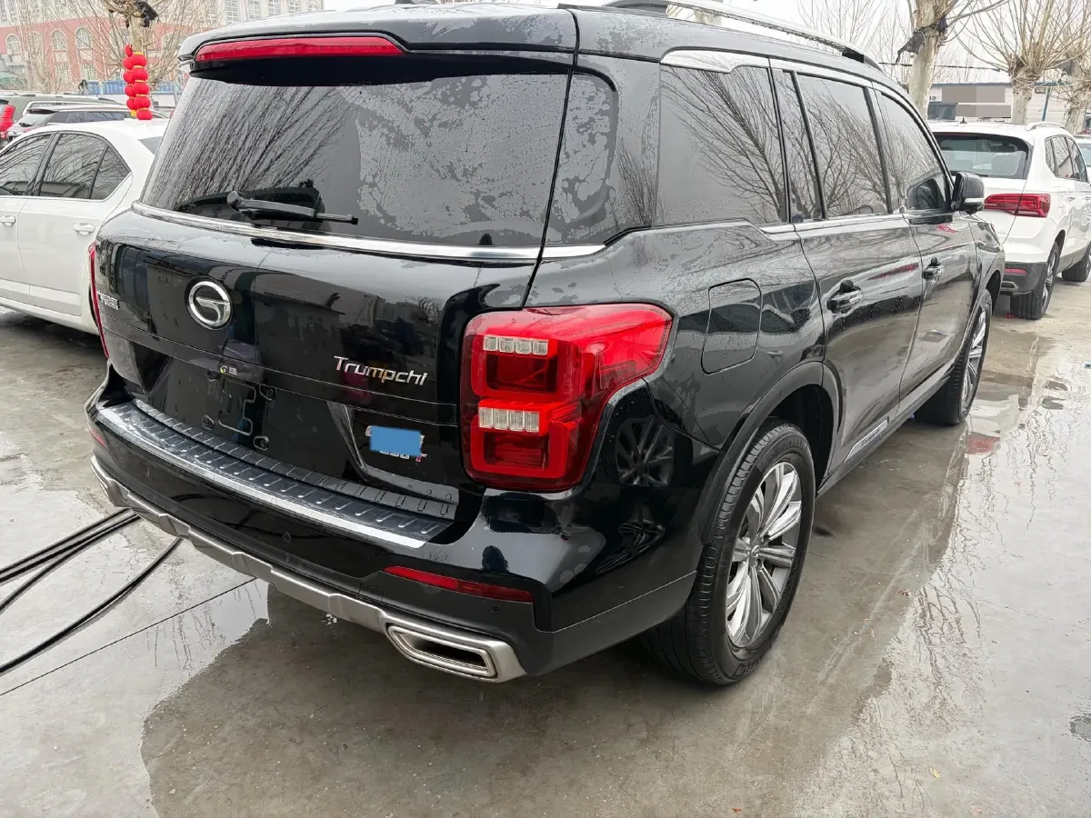 2020 GAC Trumpchi GS8 2.0T 252HP L4 6AT,autocango,china used car exporter,china ev exporter,chinese used car exporter,chinese used ev exporter